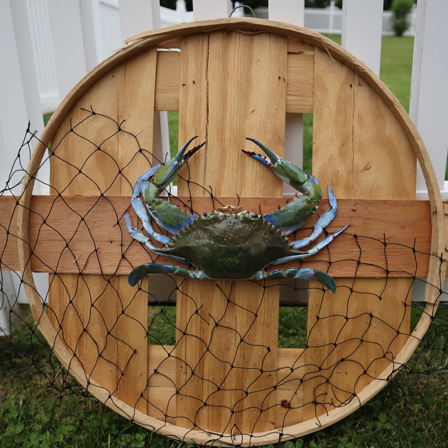 Authentic Taxidermy Blue Crab (Mounted)