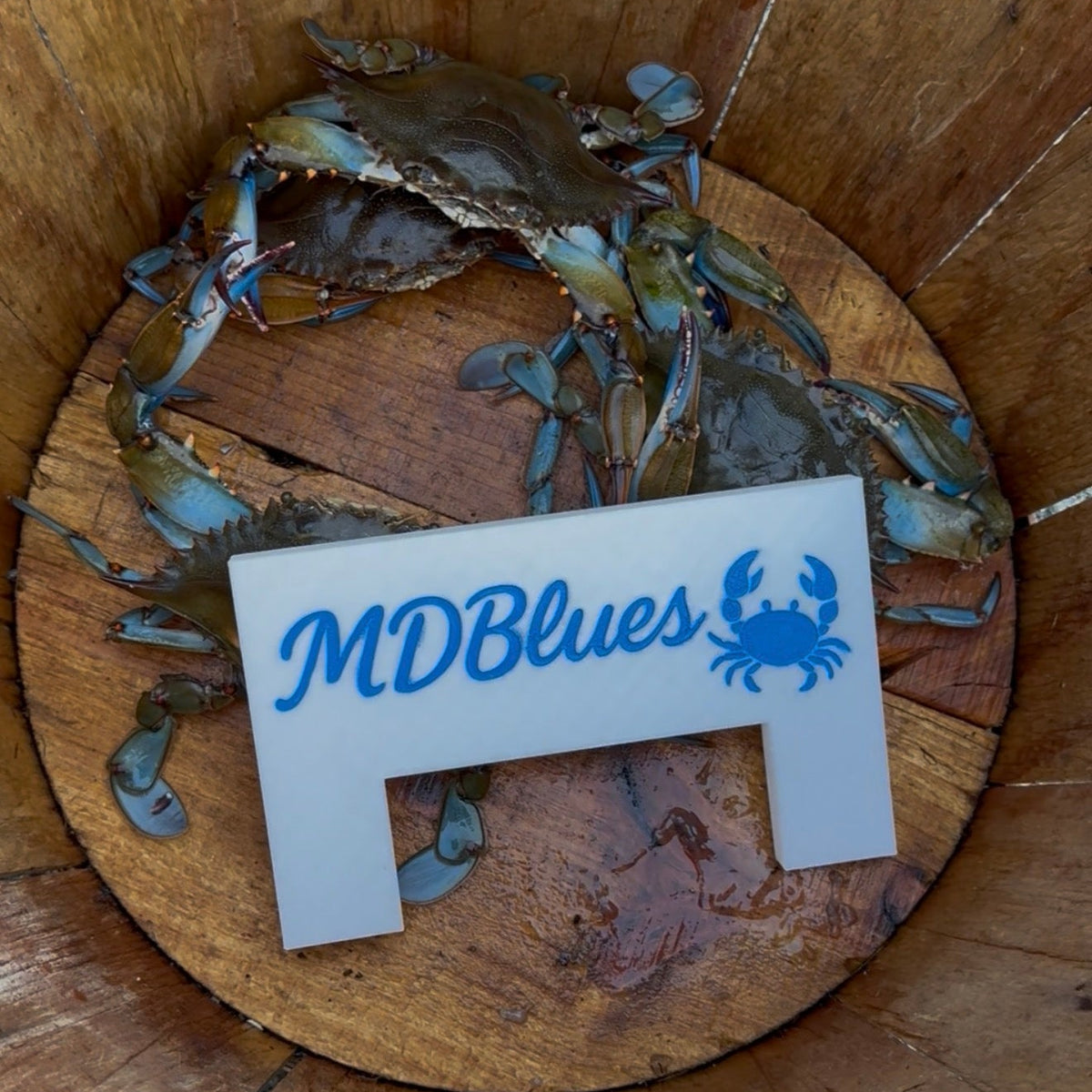 Blue Crab Measuring stick